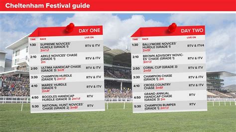 2023 Cheltenham Festival guide: race.